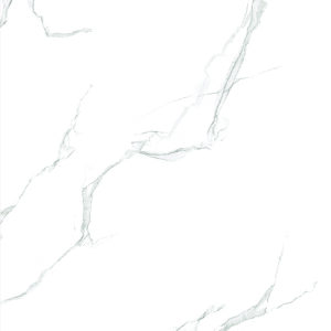 Alcora Bianco (24x24)