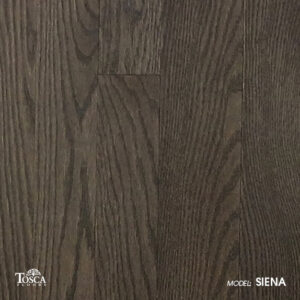 Siena_Oak